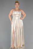 Abschlusskleid In Übergröße Lang Gold ABU5357