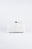 Perlmutt Abendtasche SH828