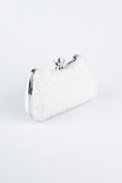 Perlmutt Abendtasche SH828