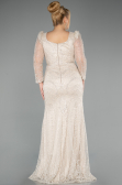 Abendkleid Lang Perlenbesetzt Beige ABU5387
