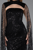 Abendkleid Lang Perlenbesetzt Schwarz ABU5652