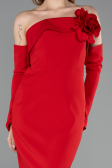 Abendkleid Lang Rot ABU5629