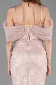 Abendkleid im Meerjungfrau-Stil Lang Spitze Puder ABU5822