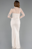 Standesamtkleid Lang Spitze Beige ABU5823