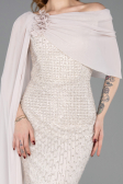 Standesamtkleid Lang Perlenbesetzt Beige ABU5816