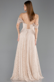 Standesamtkleid Lang Spitze Beige ABU5867