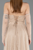 Standesamtkleid Lang Spitze Beige ABU5887