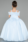 Brautkleid für Kinder Lang Satin Eisblau ABG175