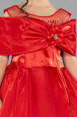 Brautkleid für Kinder Lang Satin Rot ABG172