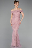 Abendkleid Lang Perlenbesetzt Puder ABU5915