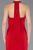 Abschlusskleid Lang Rot ABU5971