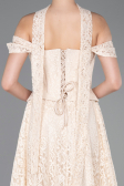 Abendkleid Lang Spitze Beige ABU5942