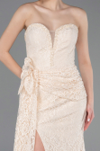 Abendkleid im Meerjungfrau-Stil Lang Spitze Beige ABU5975