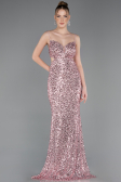 Abschlusskleid Lang Puder ABU5980