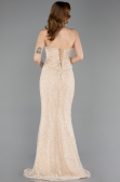 Abendkleid im Meerjungfrau-Stil Lang Spitze Beige ABU5993