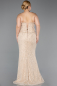 Abendkleid in Übergröße Lang Spitze Beige ABU5994