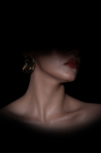 Ohrschmuck Gold DF1013