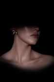 Ohrschmuck Gold DF1017