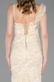 Abendkleid Lang Beige ABU6059