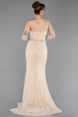 Standesamtkleid Lang Spitze Beige ABU6060