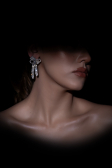 Ohrschmuck Swarovski DY119
