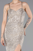 Abschlusskleid Lang Beige ABU6106