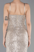 Abschlusskleid Lang Beige ABU6106