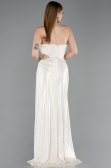 Abschlusskleid Lang Beige ABU6127