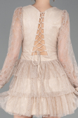 Partykleid Kurz Spitze Beige ABK2623