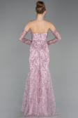 Abendkleid Lang Guipure Spitze Puder ABU6159