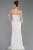 Standesamtkleid Lang Perlenbesetzt Weiß ABU6205