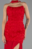 Abschlusskleid Lang Rot ABU6541