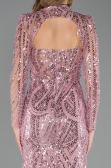 Abendkleid Lang Perlenbesetzt Puder ABU6564