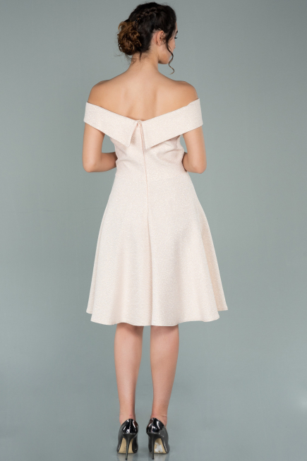 Partykleid Kurz Puder ABK441