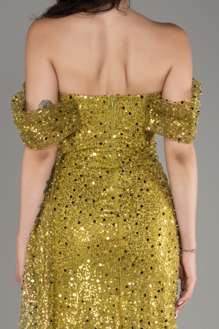 Pistaziengrün Abendkleid Schuppig Lang ABU3577