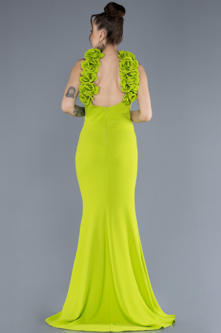 Abendkleid Lang Pistaziengrün ABU4610