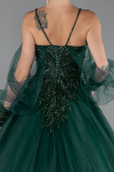 Smaragdgrün Designer Abendkleid Lang ABU2789