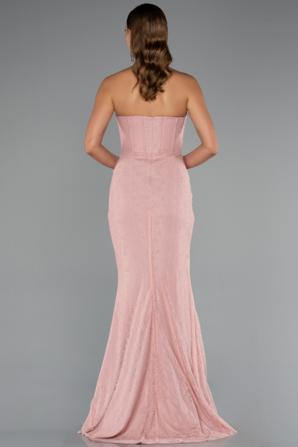Abendkleid im Meerjungfrau-Stil Lang Spitze Puder ABU5215