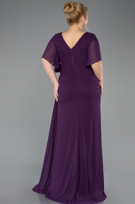 Pflaume Abendgarderobe İn Großen Größen Chiffon Lang ABU4911