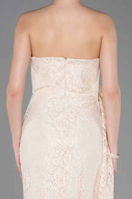Abendkleid im Meerjungfrau-Stil Lang Spitze Beige ABU5975