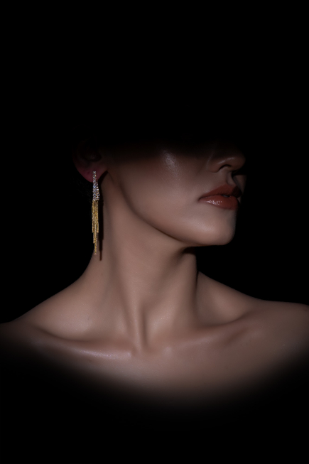 Ohrschmuck Gold DF1053