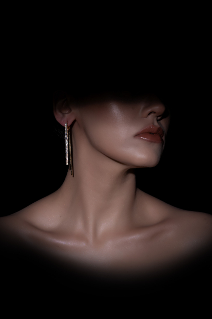 Ohrschmuck Gold DF1056
