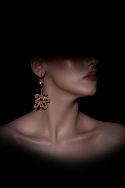 Ohrschmuck DF1057