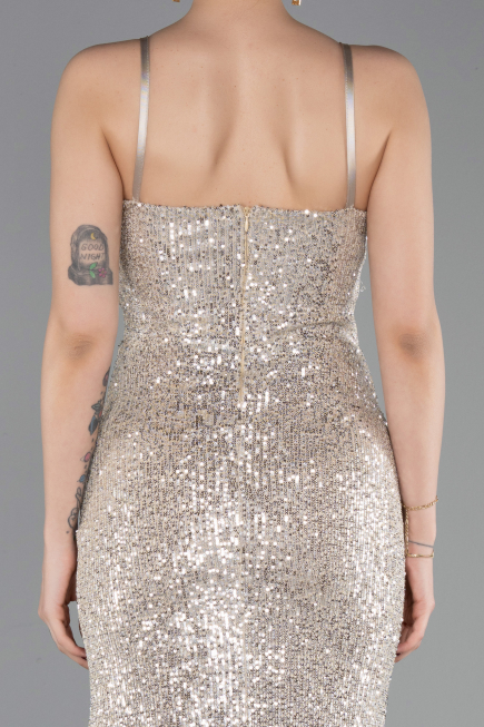 Abschlusskleid Lang Beige ABU6106
