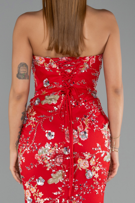 Abendkleid Lang Rot ABU6421